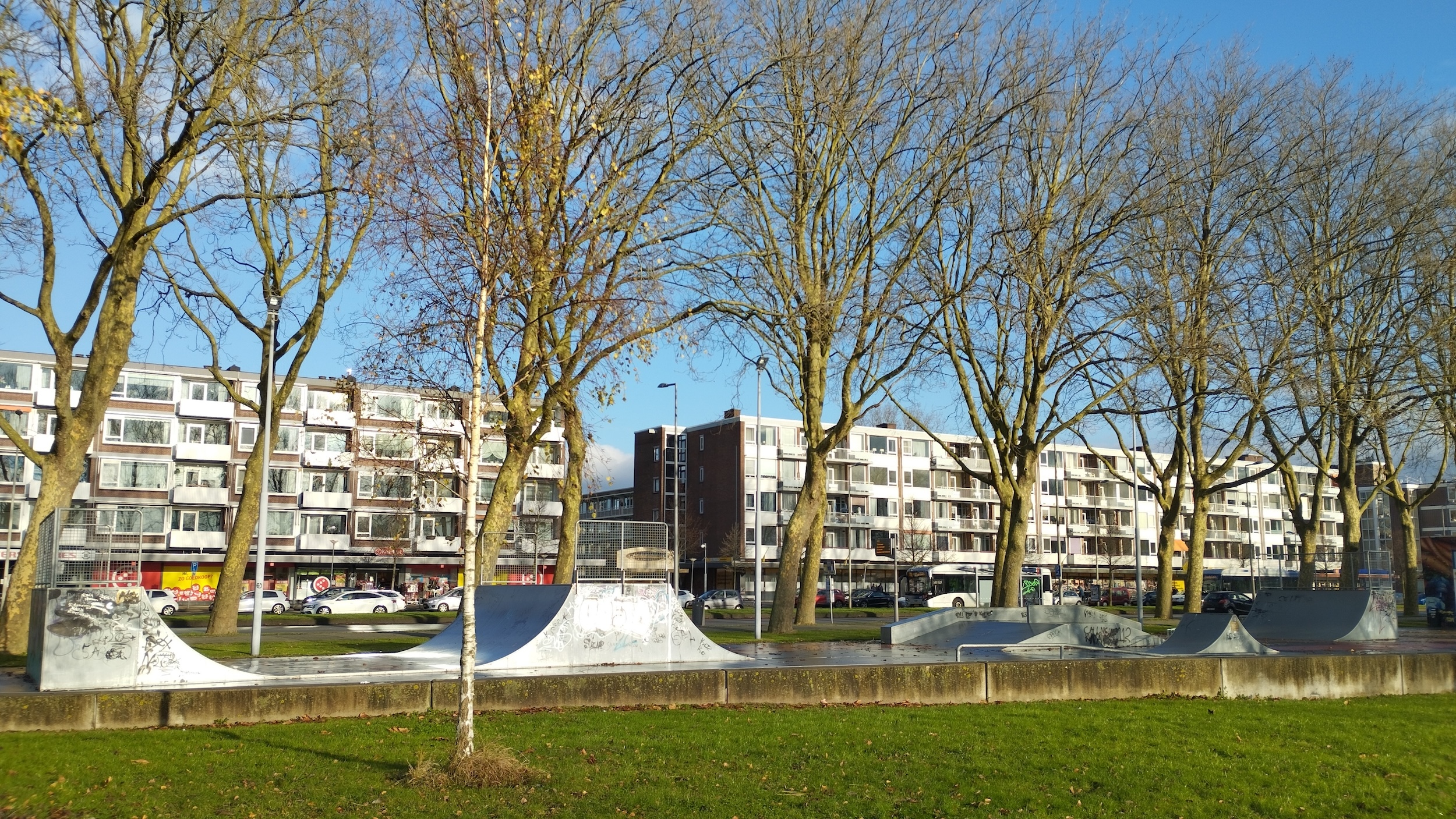 Spinoza park Skatepark